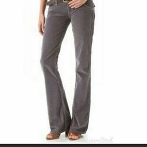 JCrew Bootcut Pants - Navy